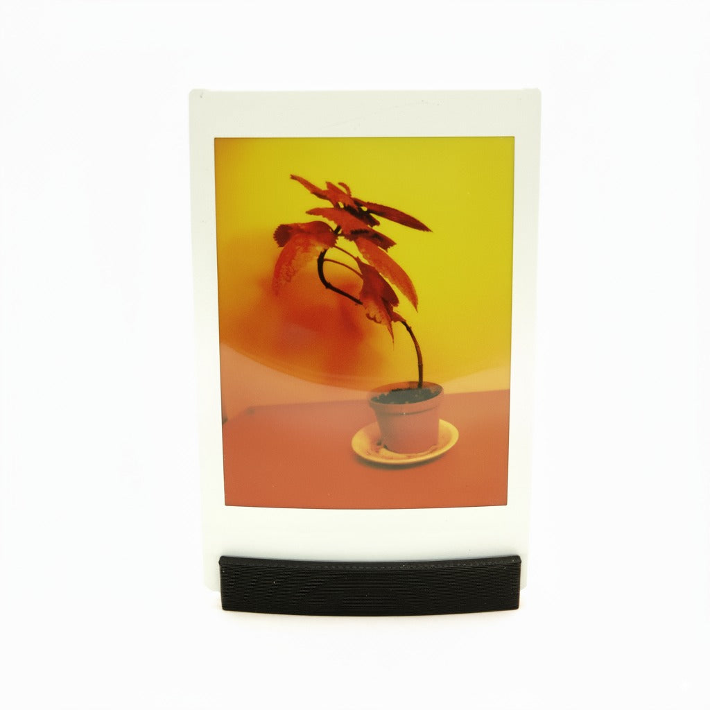 Ensemble de présentoirs photo (3 pièces) pour Polaroid, Instax Large & Mini