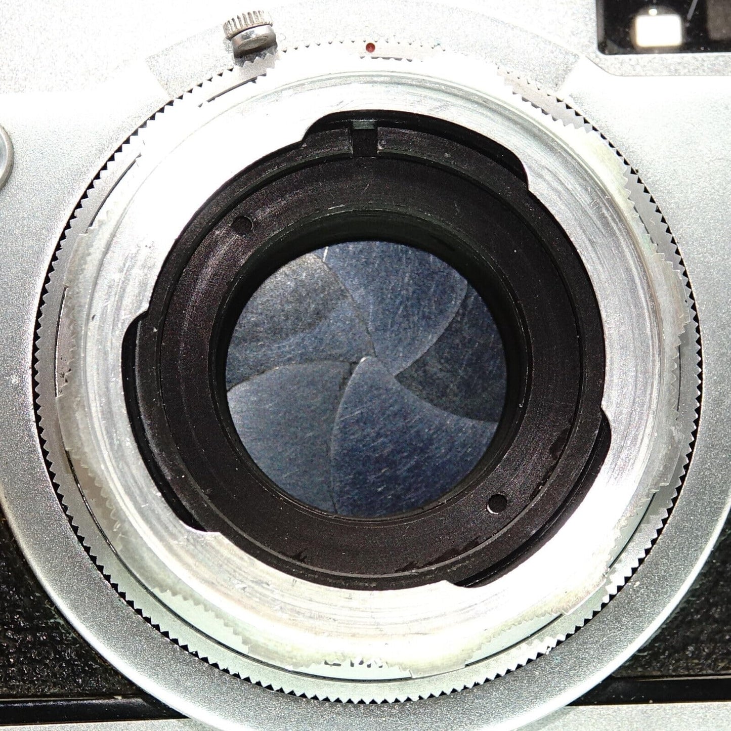 Body cap for Altissa Altix (V, n, nb)